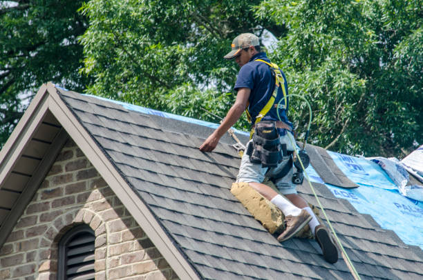 Best Storm Damage Roof Repair  in New Pek, IN